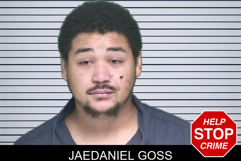 Jaedaniel Goss mugshot
