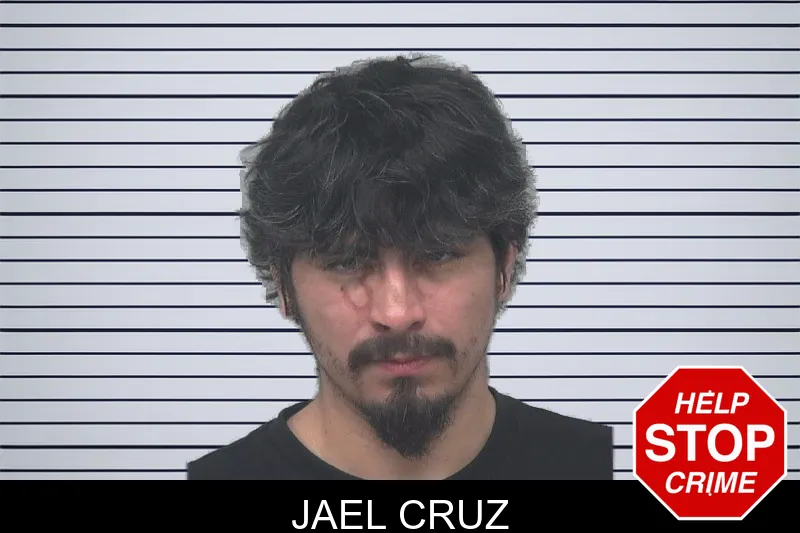 Jael Cruz mugshot