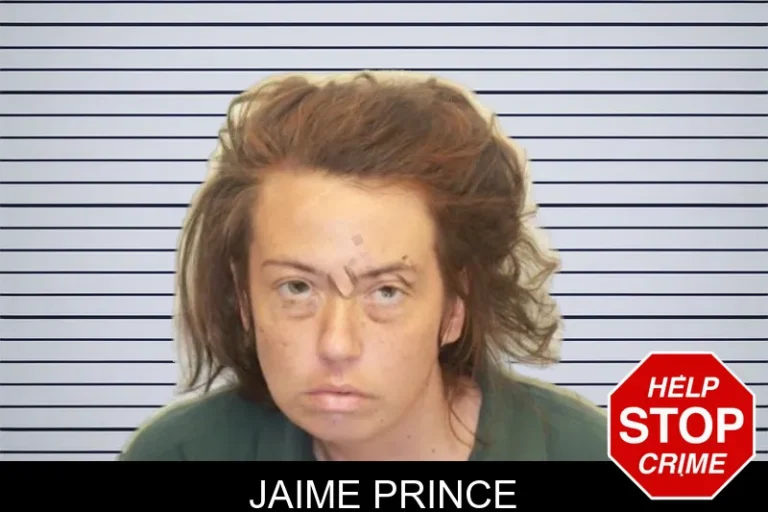 Jaime Prince mugshot – Chatham County , Georgia Jaime Prince