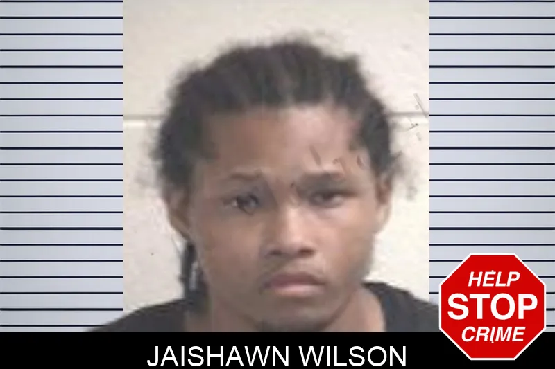 Jaishawn Wilson mugshot