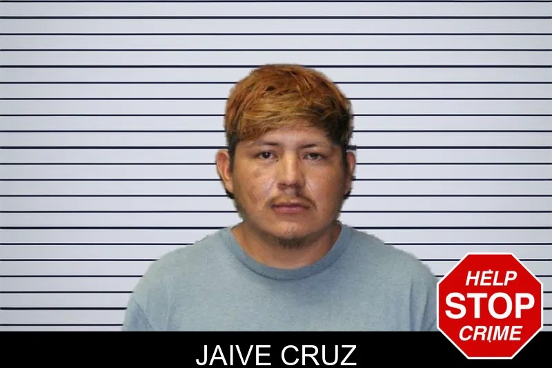 Jaive Cruz mugshot