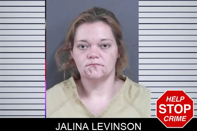 Jalina Levinson mugshot – Hall County , Georgia Jalina Levinson