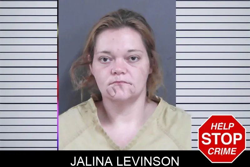 Jalina Levinson mugshot