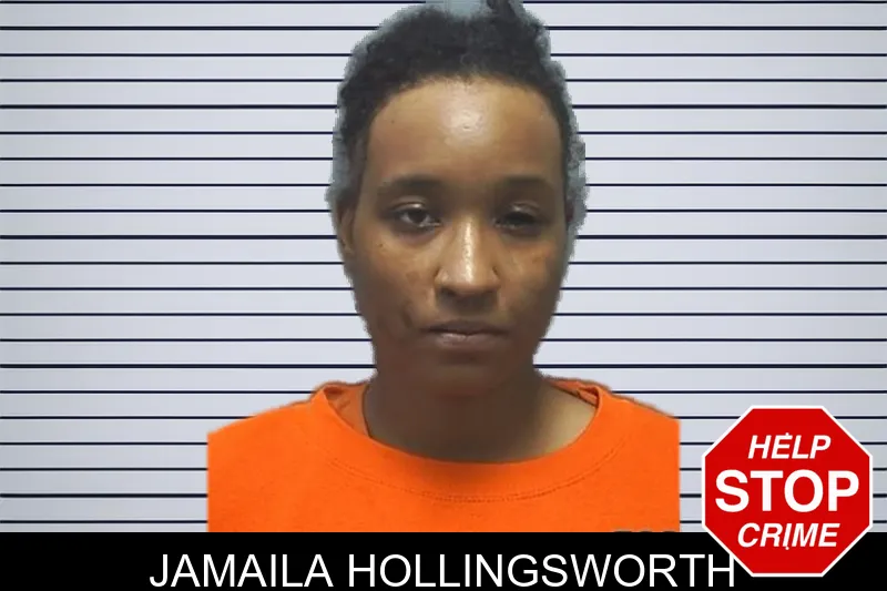 Jamaila Hollingsworth mugshot – Cherokee County , Georgia Jamaila Hollingsworth mugshot