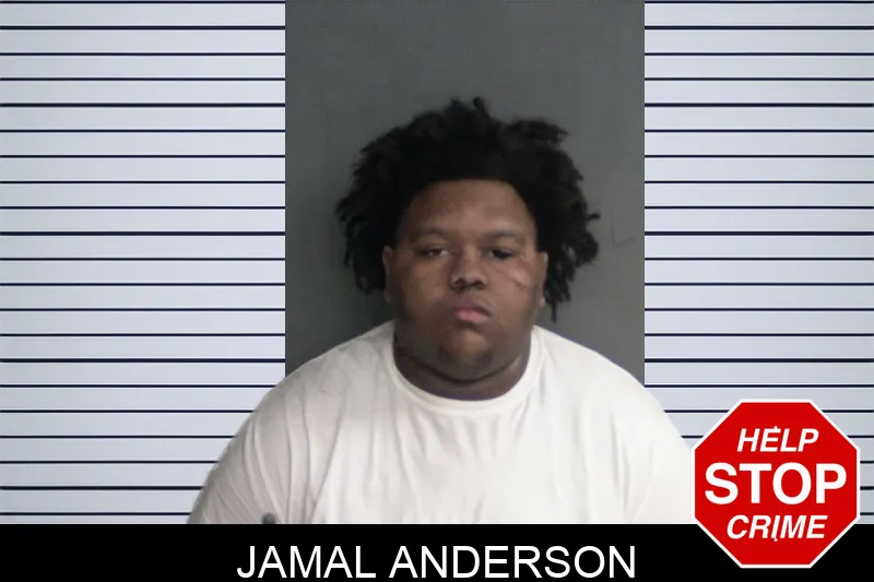 Jamal Anderson mugshot