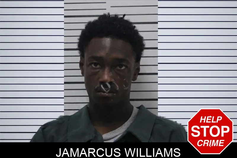 Jamarcus Williams mugshot