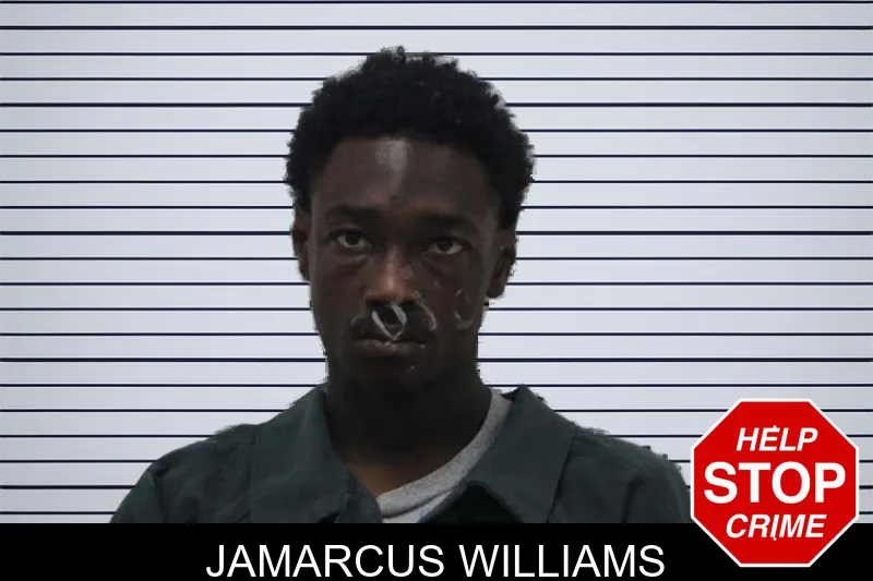 Jamarcus Williams mugshot