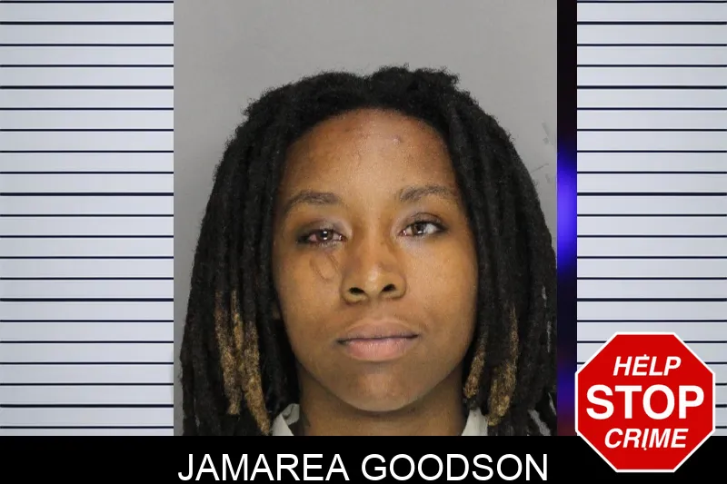 Jamarea Goodson mugshot – Cobb County , Georgia Jamarea Goodson mugshot