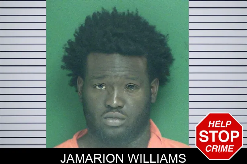 Jamarion Williams mugshot