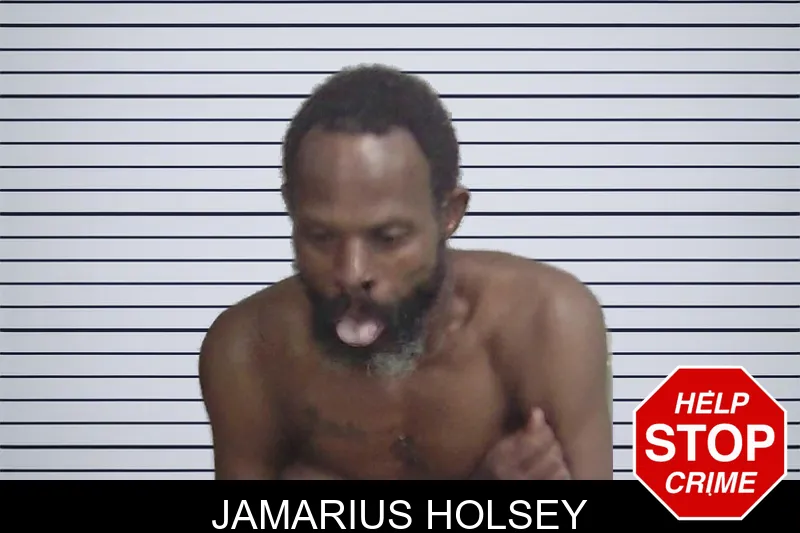 Jamarius Holsey mugshot – Wayne County , Georgia Jamarius Holsey mugshot