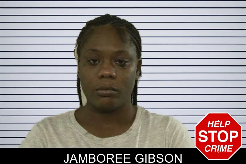 Jamboree Gibson mugshot – Liberty County , Georgia Jamboree Gibson mugshot