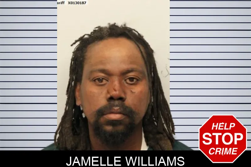 Jamelle Williams mugshot