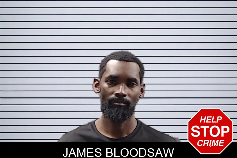 James Bloodsaw mugshot