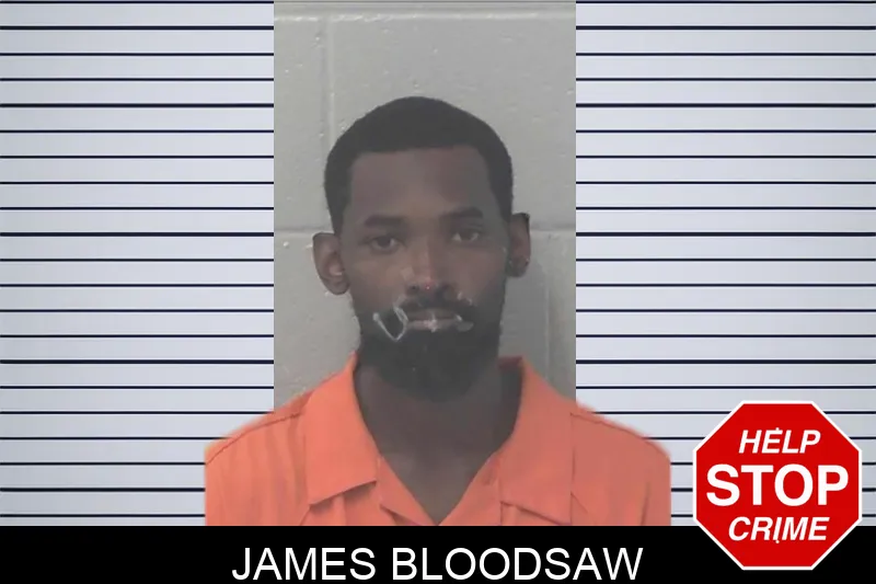 James Bloodsaw mugshot