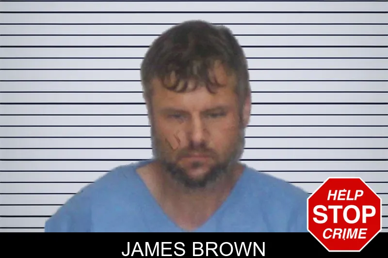 James Brown mugshot