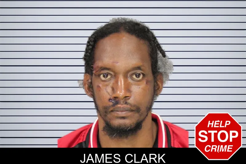 James Clark mugshot – Cobb County , Georgia James Clark mugshot