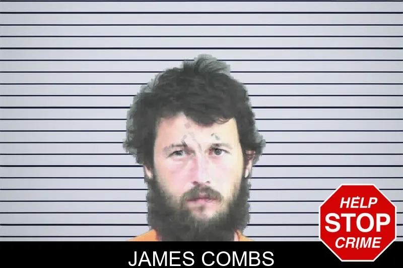 James Combs mugshot – Mitchell County , Georgia James Combs mugshot