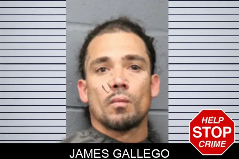 James Gallego mugshot – Forsyth County , Georgia James Gallego