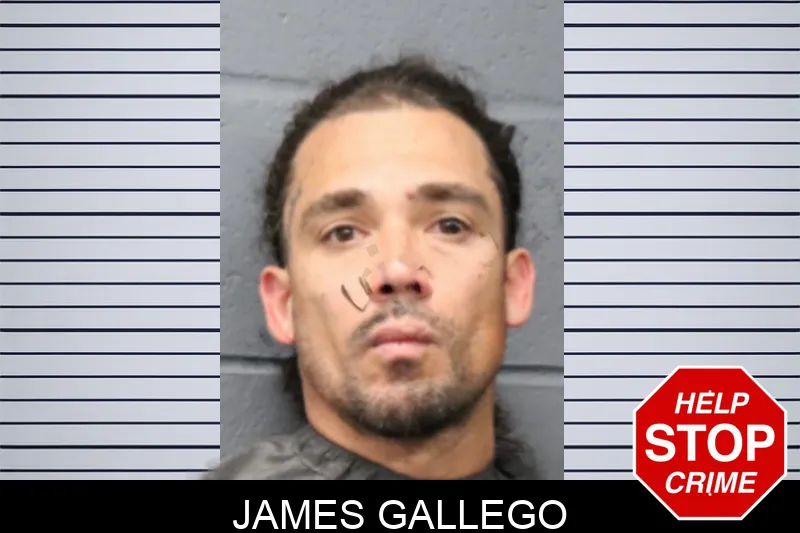 James Gallego mugshot – Forsyth County , Georgia James Gallego mugshot