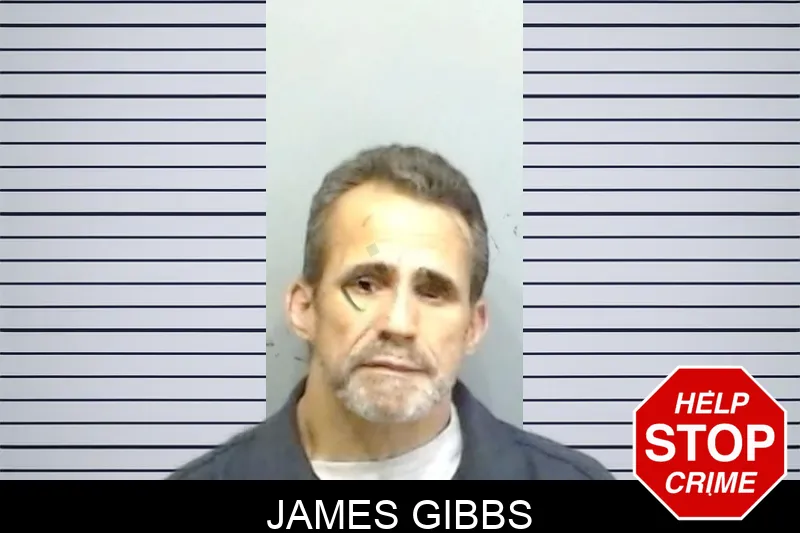 James Gibbs mugshot – Fulton County , Georgia James Gibbs mugshot
