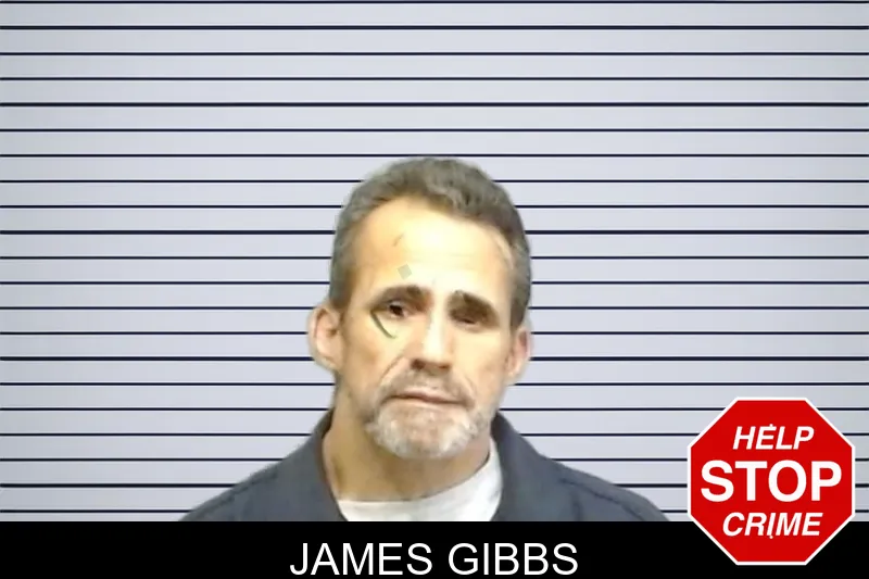 James Gibbs mugshot