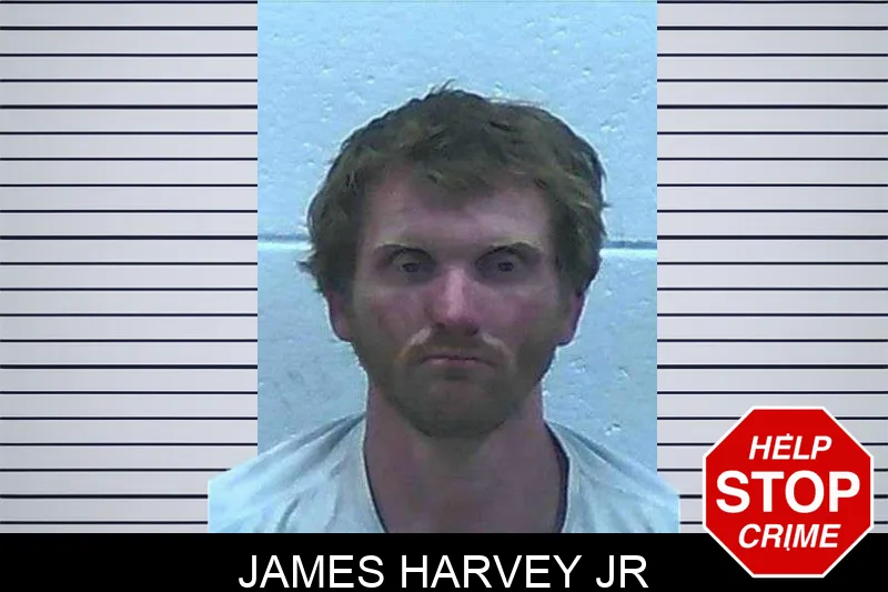 James Harvey Jr mugshot