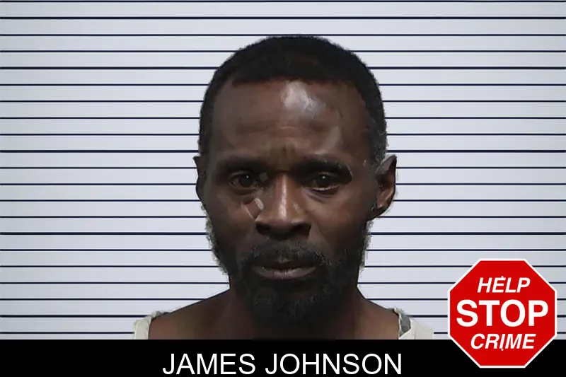 James Johnson mugshot