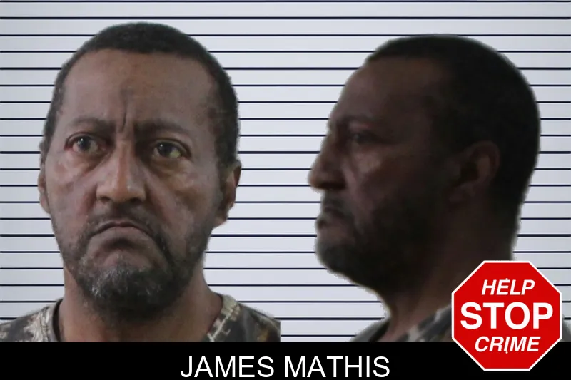 James Mathis mugshot – Houston County , Georgia James Mathis mugshot