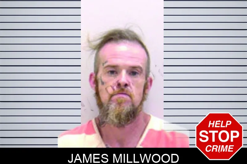 James Millwood mugshot – Bartow County , Georgia James Millwood mugshot