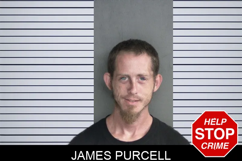 James Purcell mugshot