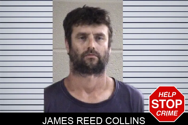 James Reed Collins mugshot