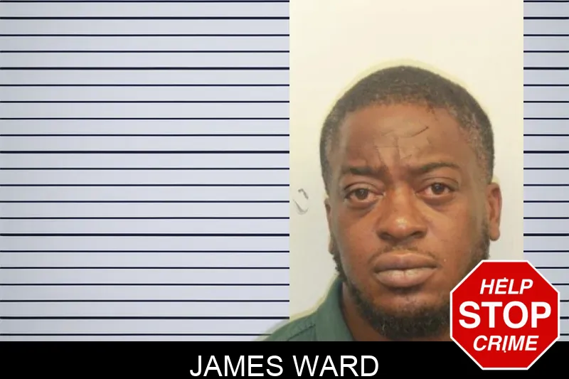 James Ward mugshot