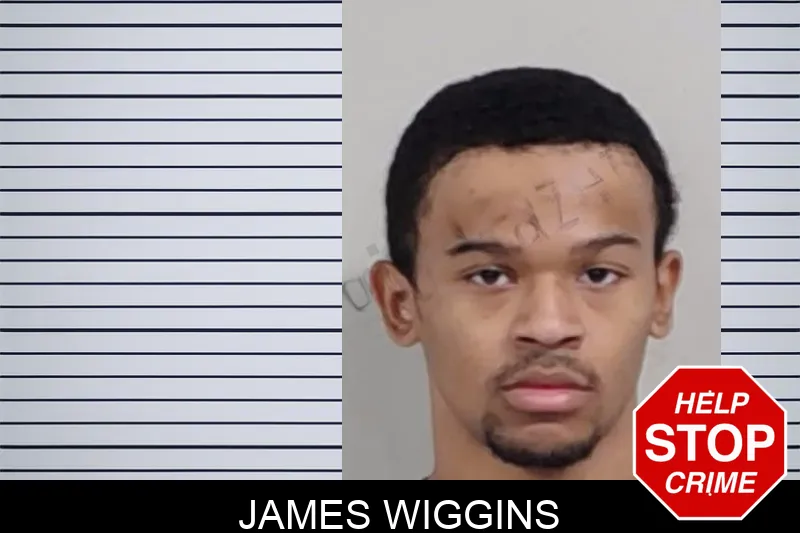 James Wiggins mugshot