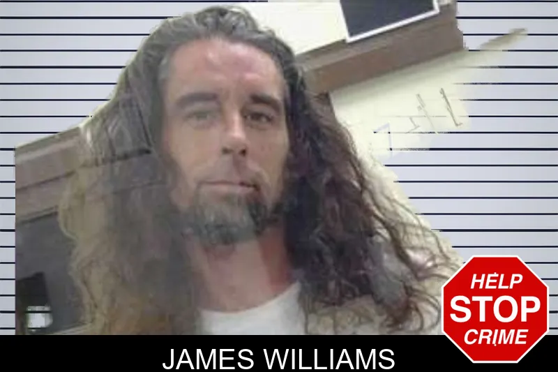 James Williams mugshot