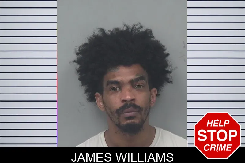 James Williams mugshot