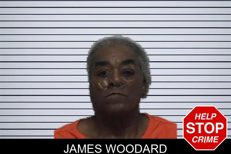 James Woodard mugshot – Laurens County , Georgia James Woodard mugshot