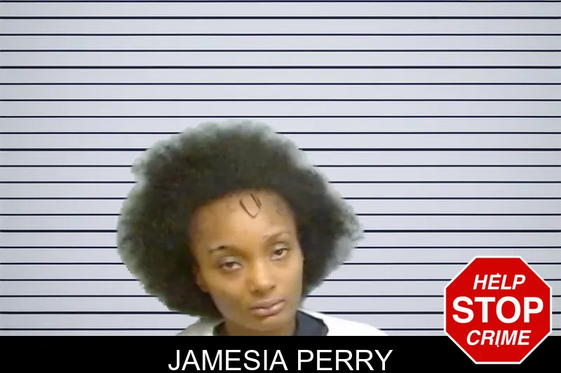 Jamesia Perry mugshot