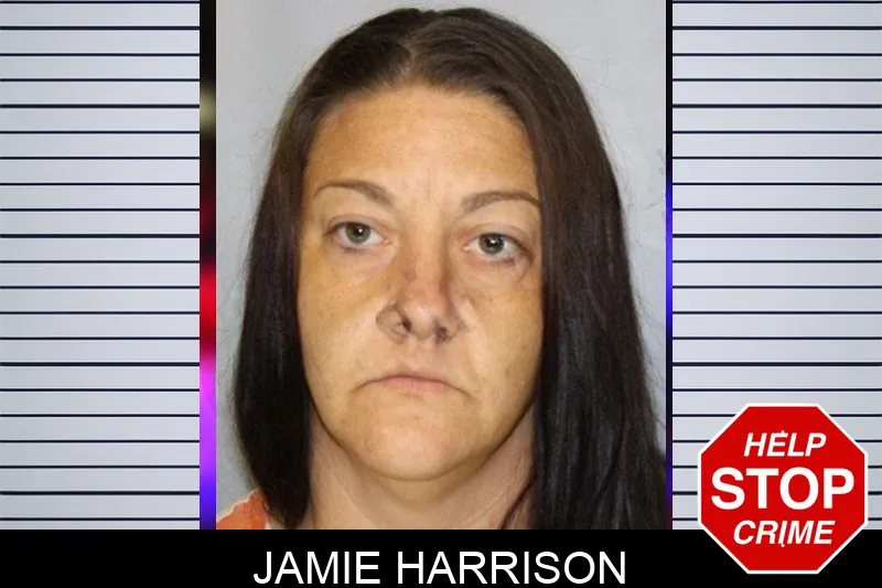 Jamie Harrison mugshot