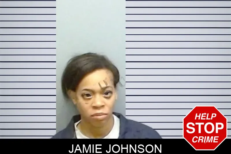 Jamie Johnson mugshot