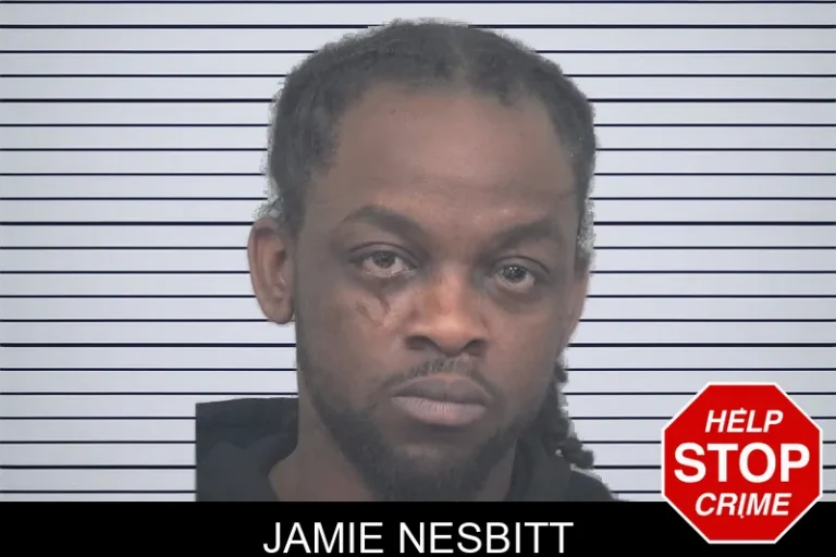 Jamie Nesbitt mugshot – Gwinnett County , Georgia Jamie Nesbitt