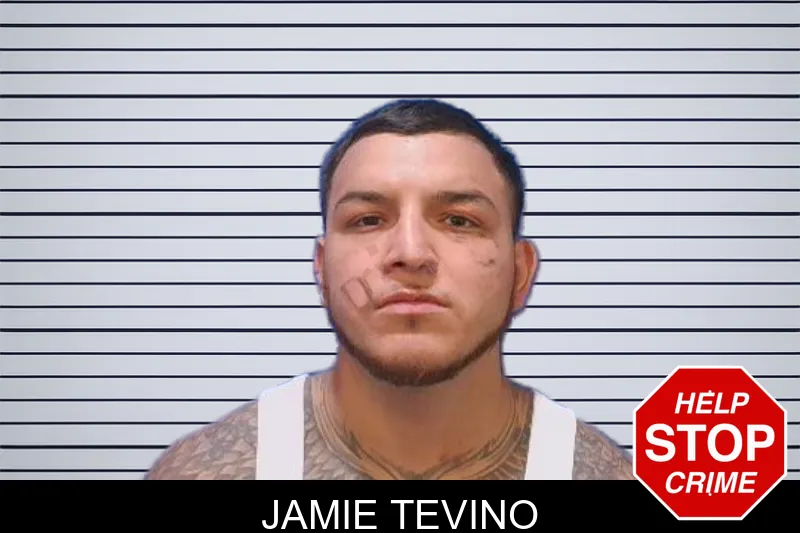 Jamie Tevino mugshot