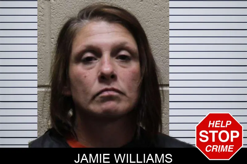 Jamie Williams mugshot