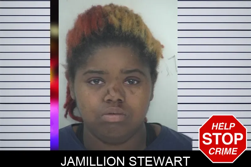 Jamillion Stewart mugshot – Fayette County , Georgia Jamillion Stewart mugshot