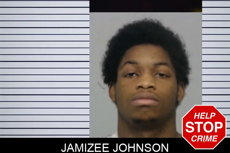 Jamizee Johnson mugshot