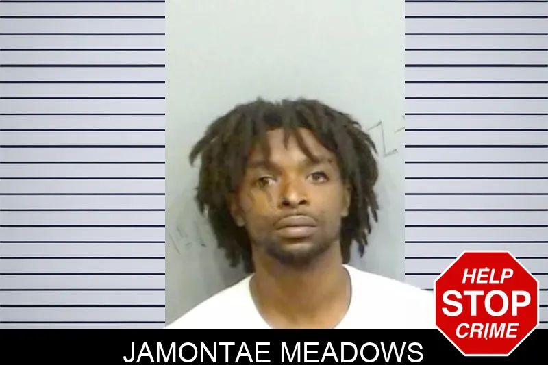 Jamontae Meadows mugshot – Fulton County , Georgia Jamontae Meadows mugshot