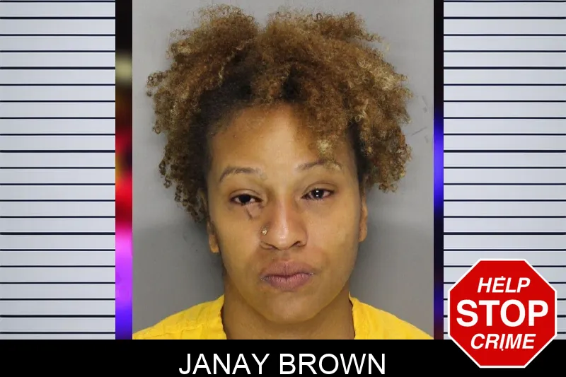 Janay Brown mugshot