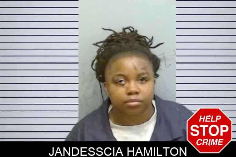 Jandesscia Hamilton mugshot – Fulton County , Georgia Jandesscia Hamilton