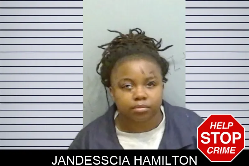 Jandesscia Hamilton mugshot