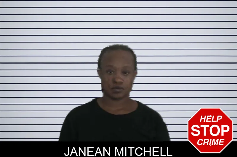 Janean Mitchell mugshot