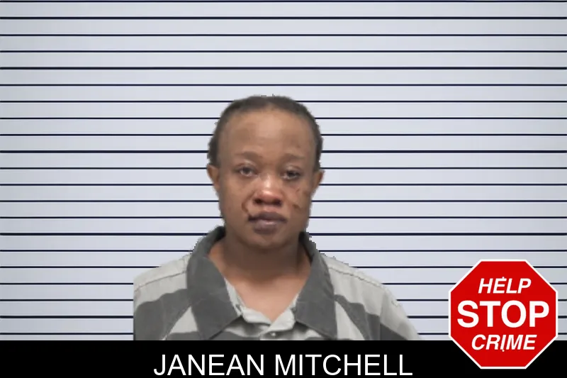 Janean Mitchell mugshot